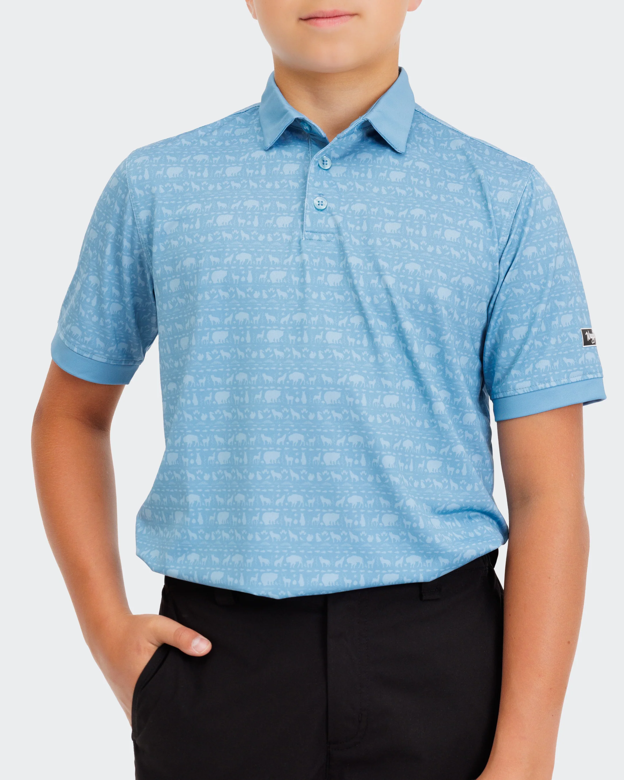 Sanctuary Boy's Polo - Image 4